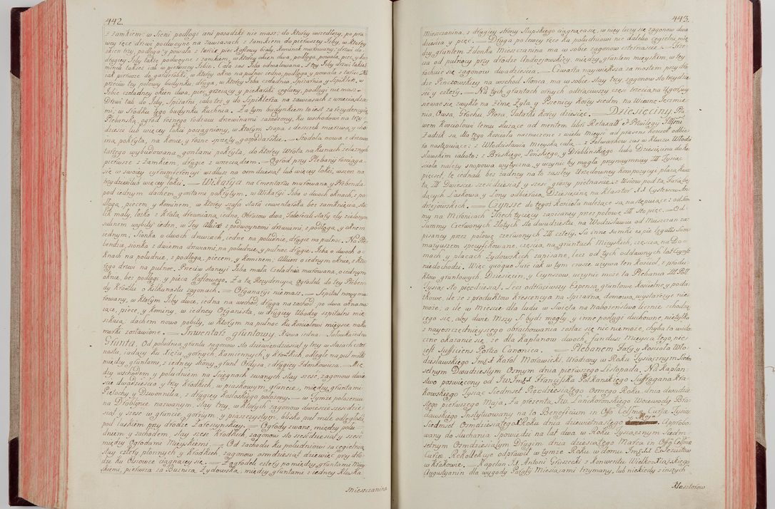 Zdjęcie nr 241 dla obiektu archiwalnego: Akta wizyty pod rządem dyecezyą J.O. Michała Jerzego Ciołka Xsiążęcia Poniatowskiego, biskupa płockiego, księcia pułtuskiego, koadiutora z całą jurysdykcją krakowksiego, xiążęcia siewierskiego, opata kommendataryusza czerwińskiego, dziekana warszawskiego, orderów Orła Białego i Świętego Stanisława kawalera, trzech dekanatów: proszowickiego, xiążnickiego i andrzejewskiego przez W.IMC.X Jacka Kochańskiego, kanonika sandomierskiego, plebana trojeckiego w roku 1783 odprawioney wypisane