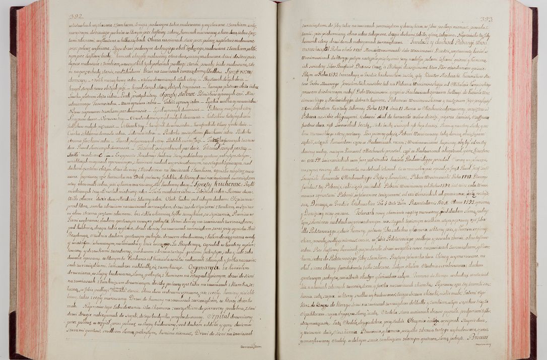 Zdjęcie nr 214 dla obiektu archiwalnego: Akta wizyty pod rządem dyecezyą J.O. Michała Jerzego Ciołka Xsiążęcia Poniatowskiego, biskupa płockiego, księcia pułtuskiego, koadiutora z całą jurysdykcją krakowksiego, xiążęcia siewierskiego, opata kommendataryusza czerwińskiego, dziekana warszawskiego, orderów Orła Białego i Świętego Stanisława kawalera, trzech dekanatów: proszowickiego, xiążnickiego i andrzejewskiego przez W.IMC.X Jacka Kochańskiego, kanonika sandomierskiego, plebana trojeckiego w roku 1783 odprawioney wypisane