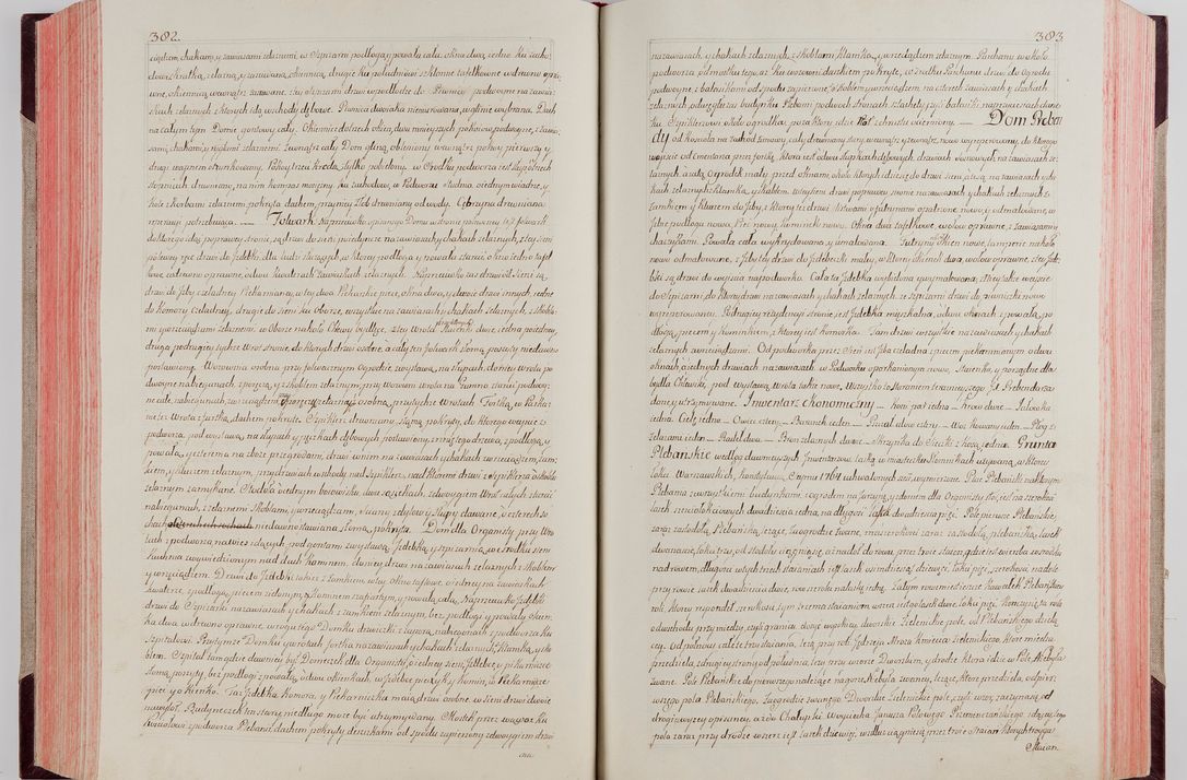 Zdjęcie nr 209 dla obiektu archiwalnego: Akta wizyty pod rządem dyecezyą J.O. Michała Jerzego Ciołka Xsiążęcia Poniatowskiego, biskupa płockiego, księcia pułtuskiego, koadiutora z całą jurysdykcją krakowksiego, xiążęcia siewierskiego, opata kommendataryusza czerwińskiego, dziekana warszawskiego, orderów Orła Białego i Świętego Stanisława kawalera, trzech dekanatów: proszowickiego, xiążnickiego i andrzejewskiego przez W.IMC.X Jacka Kochańskiego, kanonika sandomierskiego, plebana trojeckiego w roku 1783 odprawioney wypisane