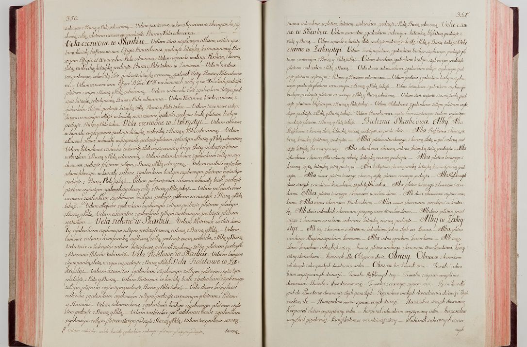 Zdjęcie nr 191 dla obiektu archiwalnego: Akta wizyty pod rządem dyecezyą J.O. Michała Jerzego Ciołka Xsiążęcia Poniatowskiego, biskupa płockiego, księcia pułtuskiego, koadiutora z całą jurysdykcją krakowksiego, xiążęcia siewierskiego, opata kommendataryusza czerwińskiego, dziekana warszawskiego, orderów Orła Białego i Świętego Stanisława kawalera, trzech dekanatów: proszowickiego, xiążnickiego i andrzejewskiego przez W.IMC.X Jacka Kochańskiego, kanonika sandomierskiego, plebana trojeckiego w roku 1783 odprawioney wypisane