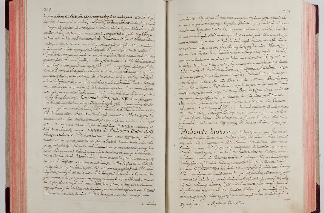 Zdjęcie nr 176 dla obiektu archiwalnego: Akta wizyty pod rządem dyecezyą J.O. Michała Jerzego Ciołka Xsiążęcia Poniatowskiego, biskupa płockiego, księcia pułtuskiego, koadiutora z całą jurysdykcją krakowksiego, xiążęcia siewierskiego, opata kommendataryusza czerwińskiego, dziekana warszawskiego, orderów Orła Białego i Świętego Stanisława kawalera, trzech dekanatów: proszowickiego, xiążnickiego i andrzejewskiego przez W.IMC.X Jacka Kochańskiego, kanonika sandomierskiego, plebana trojeckiego w roku 1783 odprawioney wypisane