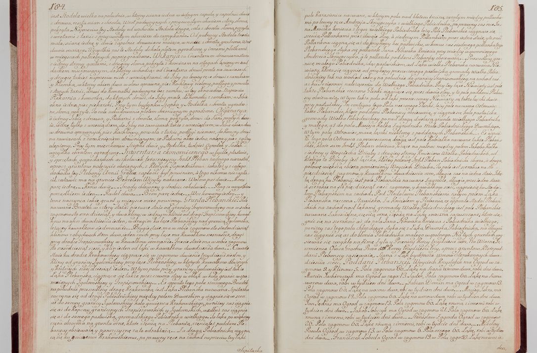 Zdjęcie nr 104 dla obiektu archiwalnego: Akta wizyty pod rządem dyecezyą J.O. Michała Jerzego Ciołka Xsiążęcia Poniatowskiego, biskupa płockiego, księcia pułtuskiego, koadiutora z całą jurysdykcją krakowksiego, xiążęcia siewierskiego, opata kommendataryusza czerwińskiego, dziekana warszawskiego, orderów Orła Białego i Świętego Stanisława kawalera, trzech dekanatów: proszowickiego, xiążnickiego i andrzejewskiego przez W.IMC.X Jacka Kochańskiego, kanonika sandomierskiego, plebana trojeckiego w roku 1783 odprawioney wypisane