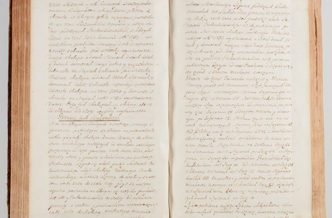 Zdjęcie nr 317 dla obiektu archiwalnego: Akta wizyty generalnej z woli i nakazu J.O. Xiążęcia Jm. Michała Jerzego Ciołka Poniatowskiego, biskupa płockiego, Xiążęcia pułtuskiego, koadiutora z całą jurysdykcją krakowskiego, Xiążęcia siewierskiego, opata kommendataryusza czerwińskiego, dziekana warszawskiego, orderów Orła Białego i św. Stanisława kawalera, w czterech dekanatach: Pacanowskim, Opatowskim, Witowskim i Sokolińskim przez Jmi Xiędza Antoniego Franciszka Dunina Kozickiego, Kollegiaty Pileckiej dziekana od dnia 15 miesiąca maja do dnia 22 października roku Pańskiego 1783 odprawionej
