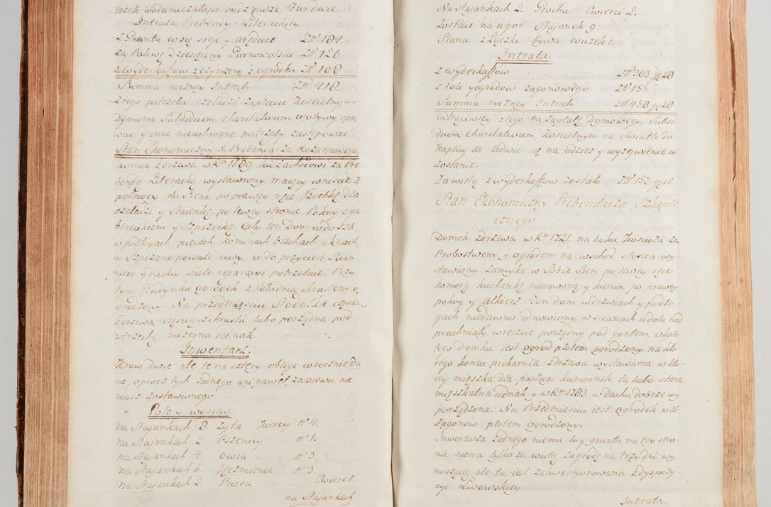 Zdjęcie nr 321 dla obiektu archiwalnego: Akta wizyty generalnej z woli i nakazu J.O. Xiążęcia Jm. Michała Jerzego Ciołka Poniatowskiego, biskupa płockiego, Xiążęcia pułtuskiego, koadiutora z całą jurysdykcją krakowskiego, Xiążęcia siewierskiego, opata kommendataryusza czerwińskiego, dziekana warszawskiego, orderów Orła Białego i św. Stanisława kawalera, w czterech dekanatach: Pacanowskim, Opatowskim, Witowskim i Sokolińskim przez Jmi Xiędza Antoniego Franciszka Dunina Kozickiego, Kollegiaty Pileckiej dziekana od dnia 15 miesiąca maja do dnia 22 października roku Pańskiego 1783 odprawionej