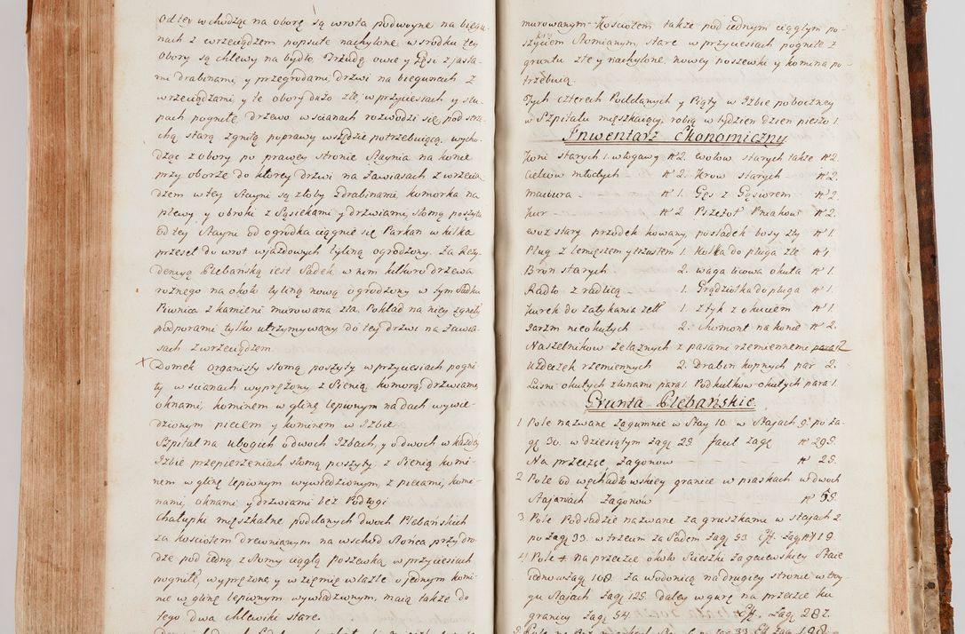 Zdjęcie nr 647 dla obiektu archiwalnego: Akta wizyty generalnej z woli i nakazu J.O. Xiążęcia Jm. Michała Jerzego Ciołka Poniatowskiego, biskupa płockiego, Xiążęcia pułtuskiego, koadiutora z całą jurysdykcją krakowskiego, Xiążęcia siewierskiego, opata kommendataryusza czerwińskiego, dziekana warszawskiego, orderów Orła Białego i św. Stanisława kawalera, w czterech dekanatach: Pacanowskim, Opatowskim, Witowskim i Sokolińskim przez Jmi Xiędza Antoniego Franciszka Dunina Kozickiego, Kollegiaty Pileckiej dziekana od dnia 15 miesiąca maja do dnia 22 października roku Pańskiego 1783 odprawionej