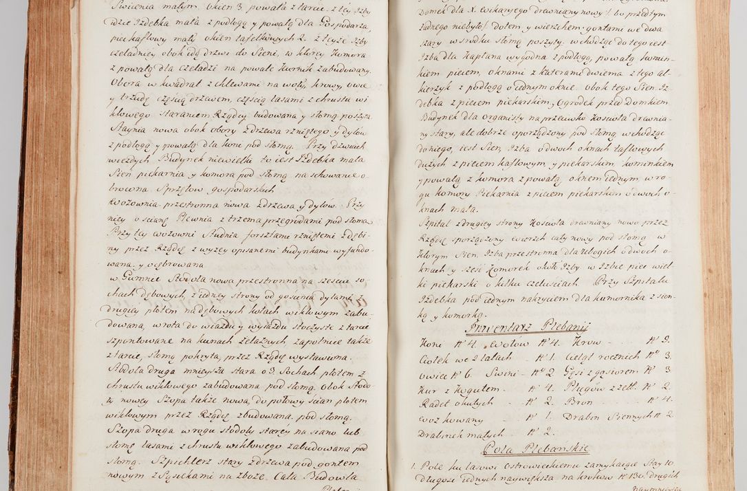 Zdjęcie nr 388 dla obiektu archiwalnego: Akta wizyty generalnej z woli i nakazu J.O. Xiążęcia Jm. Michała Jerzego Ciołka Poniatowskiego, biskupa płockiego, Xiążęcia pułtuskiego, koadiutora z całą jurysdykcją krakowskiego, Xiążęcia siewierskiego, opata kommendataryusza czerwińskiego, dziekana warszawskiego, orderów Orła Białego i św. Stanisława kawalera, w czterech dekanatach: Pacanowskim, Opatowskim, Witowskim i Sokolińskim przez Jmi Xiędza Antoniego Franciszka Dunina Kozickiego, Kollegiaty Pileckiej dziekana od dnia 15 miesiąca maja do dnia 22 października roku Pańskiego 1783 odprawionej