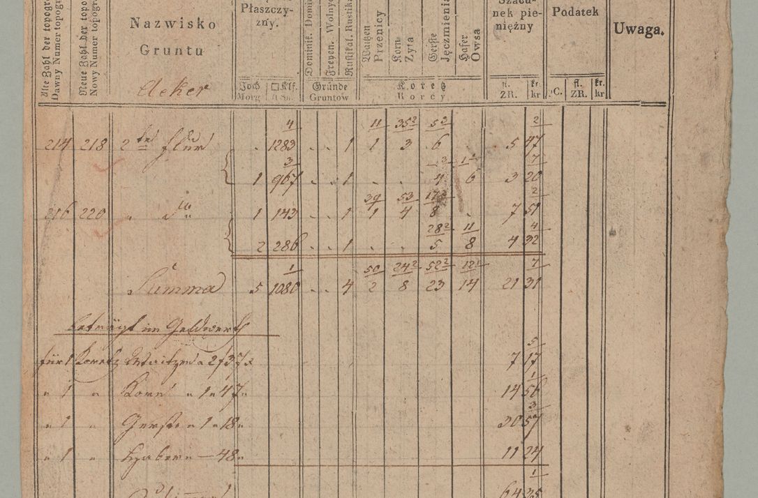 Zdjęcie nr 52 dla obiektu archiwalnego: Akta Dóbr Stołowych za lata 1836-1853