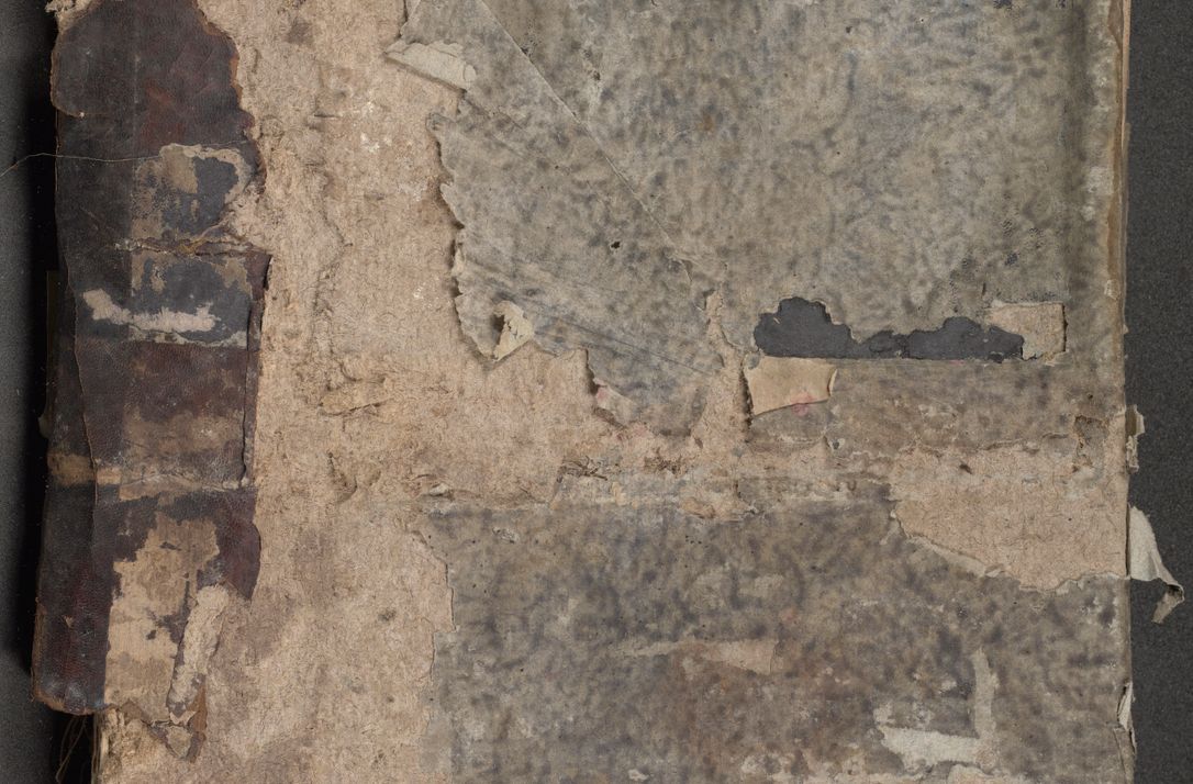 Zdjęcie nr 2 dla obiektu archiwalnego: Protocollon exhibitorum consistorii metropolitani Leopoliensis ex anno 1819