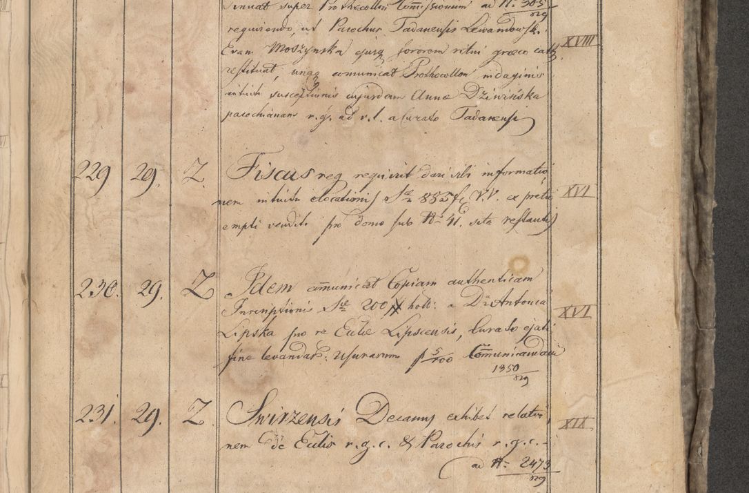 Zdjęcie nr 394 dla obiektu archiwalnego: Protocollon exhibitorum consistorii metropolitani Leopoliensis ex anno 1819