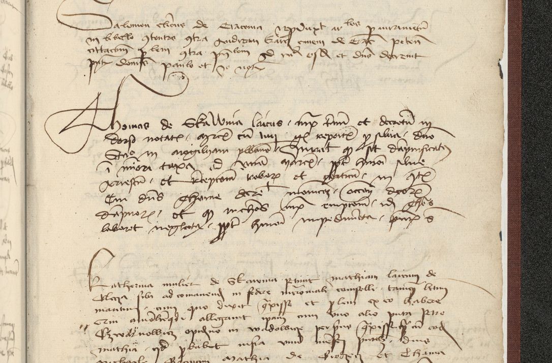 Zdjęcie nr 696 dla obiektu archiwalnego: [Acta actorum officialia coram Raphaele de Skawina]