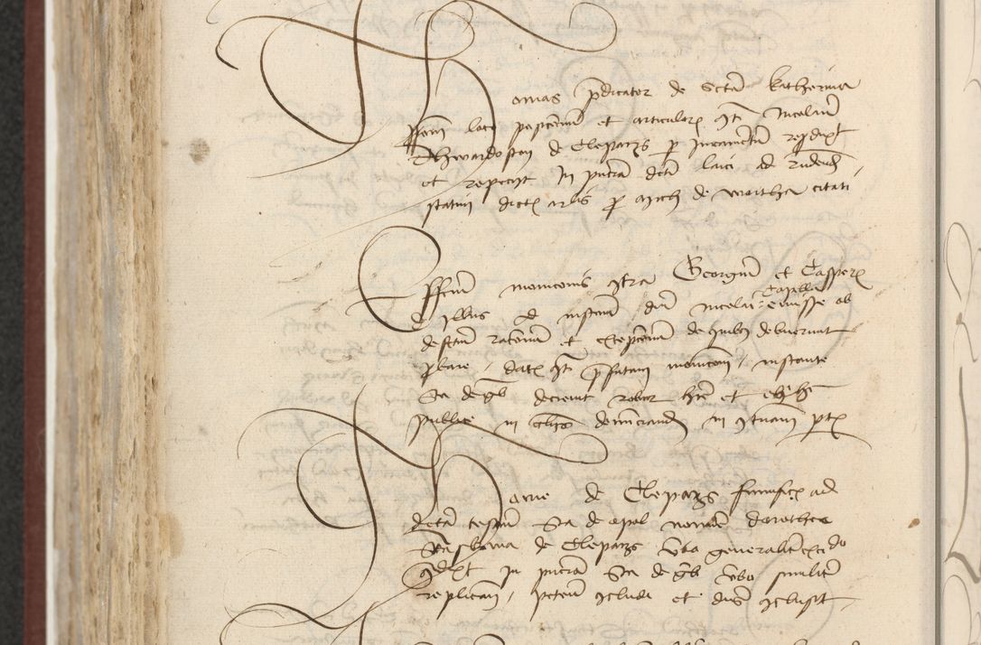 Zdjęcie nr 597 dla obiektu archiwalnego: [Acta actorum officialia coram Raphaele de Skawina]