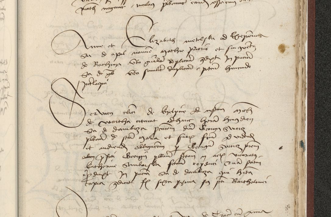 Zdjęcie nr 596 dla obiektu archiwalnego: [Acta actorum officialia coram Raphaele de Skawina]