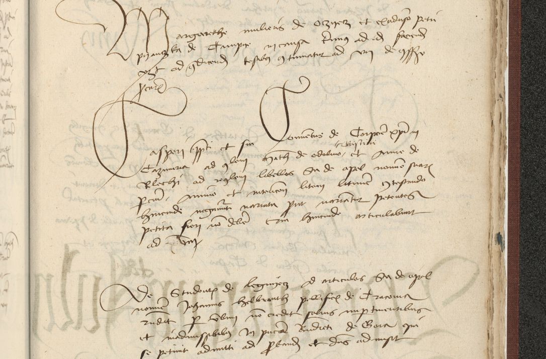 Zdjęcie nr 590 dla obiektu archiwalnego: [Acta actorum officialia coram Raphaele de Skawina]