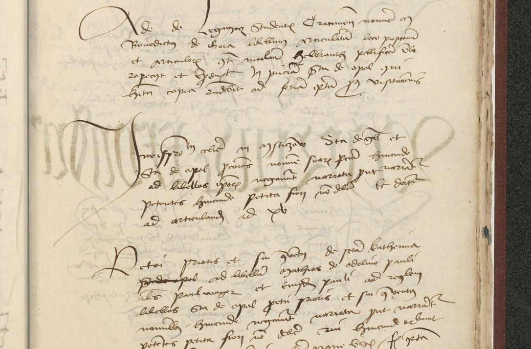 Zdjęcie nr 586 dla obiektu archiwalnego: [Acta actorum officialia coram Raphaele de Skawina]