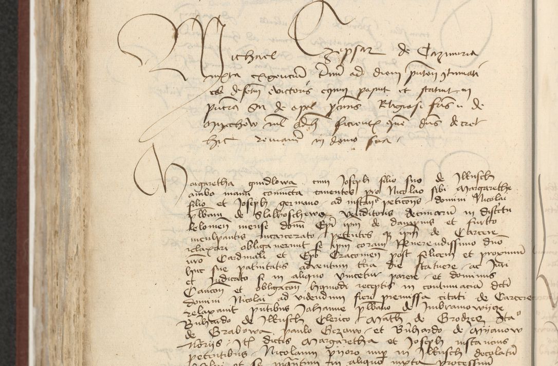 Zdjęcie nr 583 dla obiektu archiwalnego: [Acta actorum officialia coram Raphaele de Skawina]