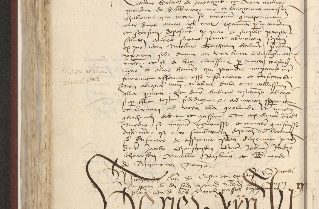 Zdjęcie nr 579 dla obiektu archiwalnego: [Acta actorum officialia coram Raphaele de Skawina]