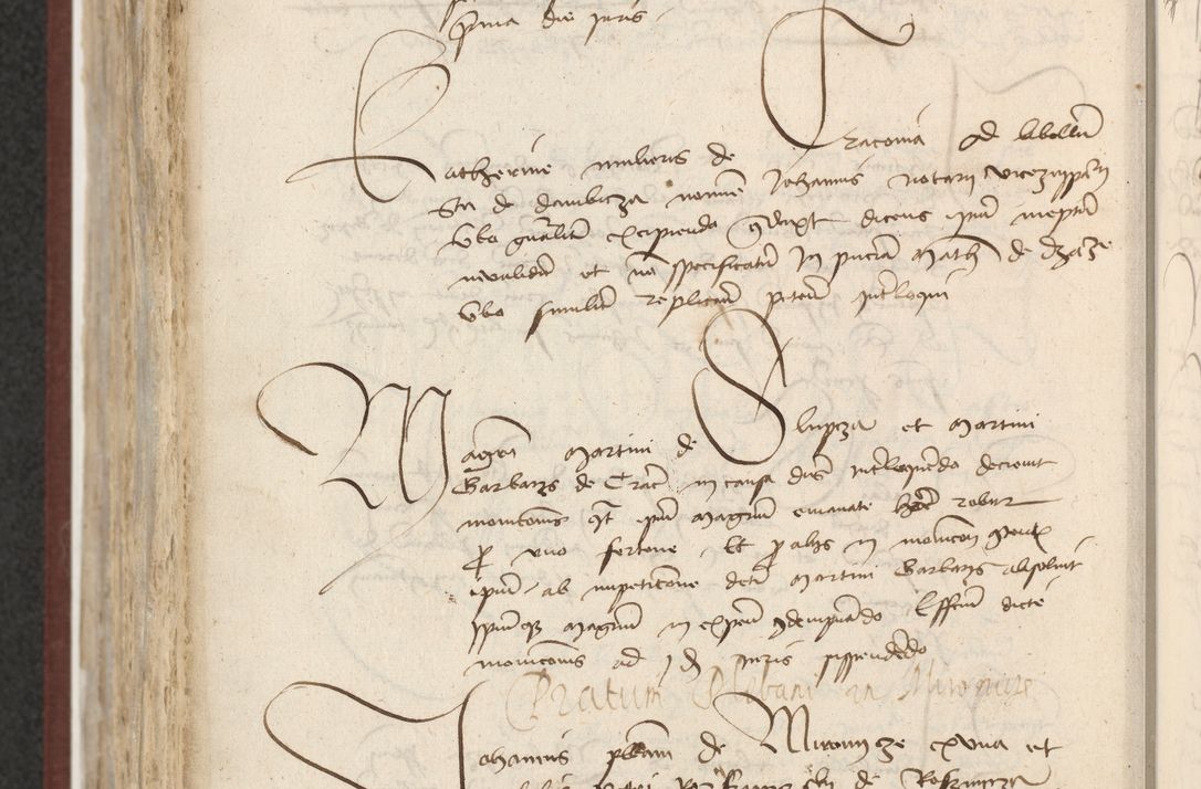 Zdjęcie nr 575 dla obiektu archiwalnego: [Acta actorum officialia coram Raphaele de Skawina]