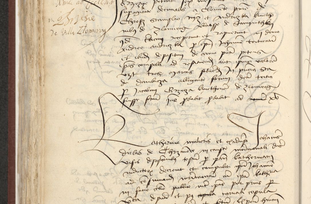 Zdjęcie nr 563 dla obiektu archiwalnego: [Acta actorum officialia coram Raphaele de Skawina]