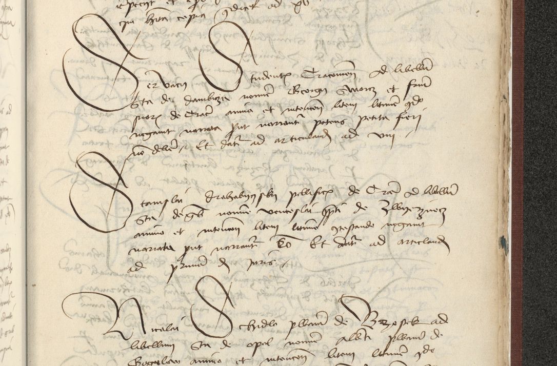 Zdjęcie nr 562 dla obiektu archiwalnego: [Acta actorum officialia coram Raphaele de Skawina]