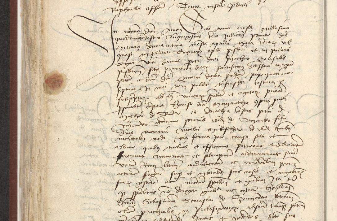 Zdjęcie nr 557 dla obiektu archiwalnego: [Acta actorum officialia coram Raphaele de Skawina]