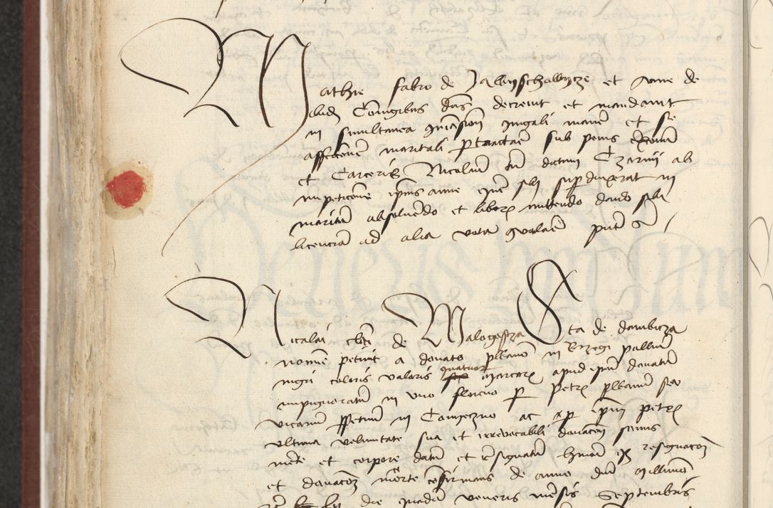 Zdjęcie nr 555 dla obiektu archiwalnego: [Acta actorum officialia coram Raphaele de Skawina]