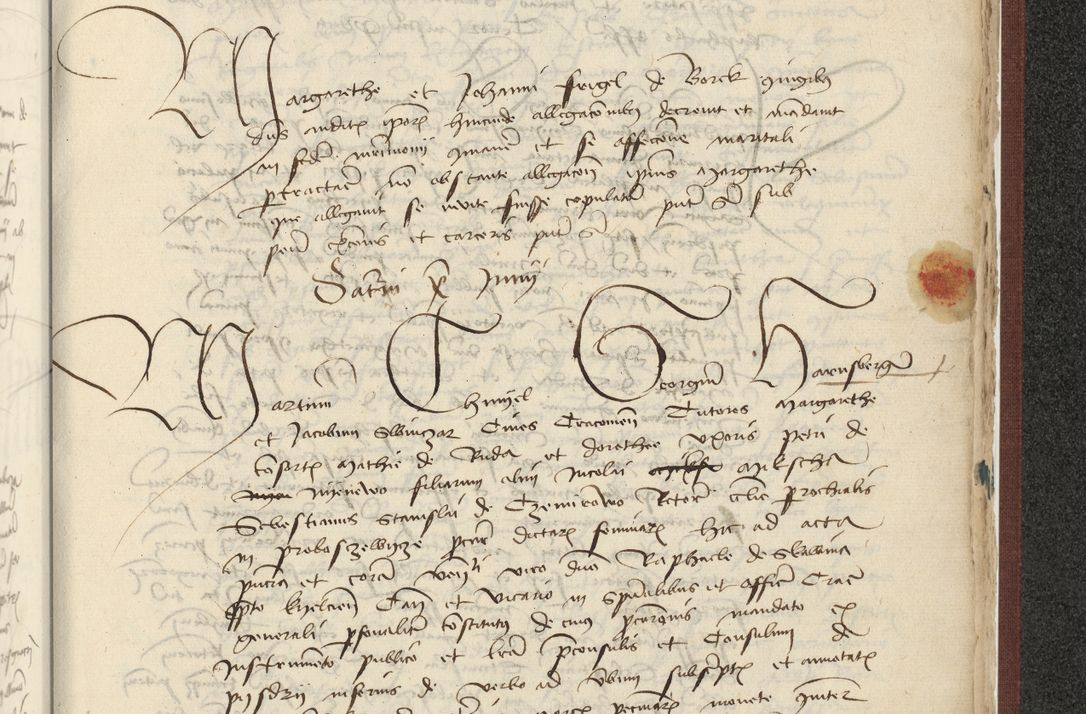 Zdjęcie nr 556 dla obiektu archiwalnego: [Acta actorum officialia coram Raphaele de Skawina]