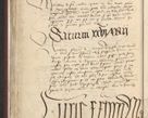 Zdjęcie nr 547 dla obiektu archiwalnego: [Acta actorum officialia coram Raphaele de Skawina]