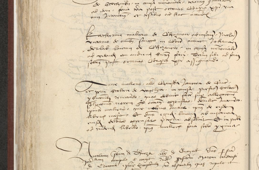 Zdjęcie nr 545 dla obiektu archiwalnego: [Acta actorum officialia coram Raphaele de Skawina]