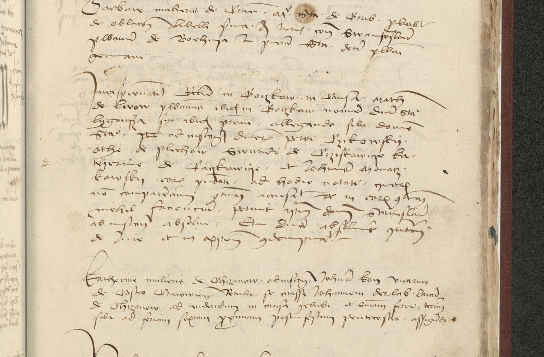 Zdjęcie nr 534 dla obiektu archiwalnego: [Acta actorum officialia coram Raphaele de Skawina]