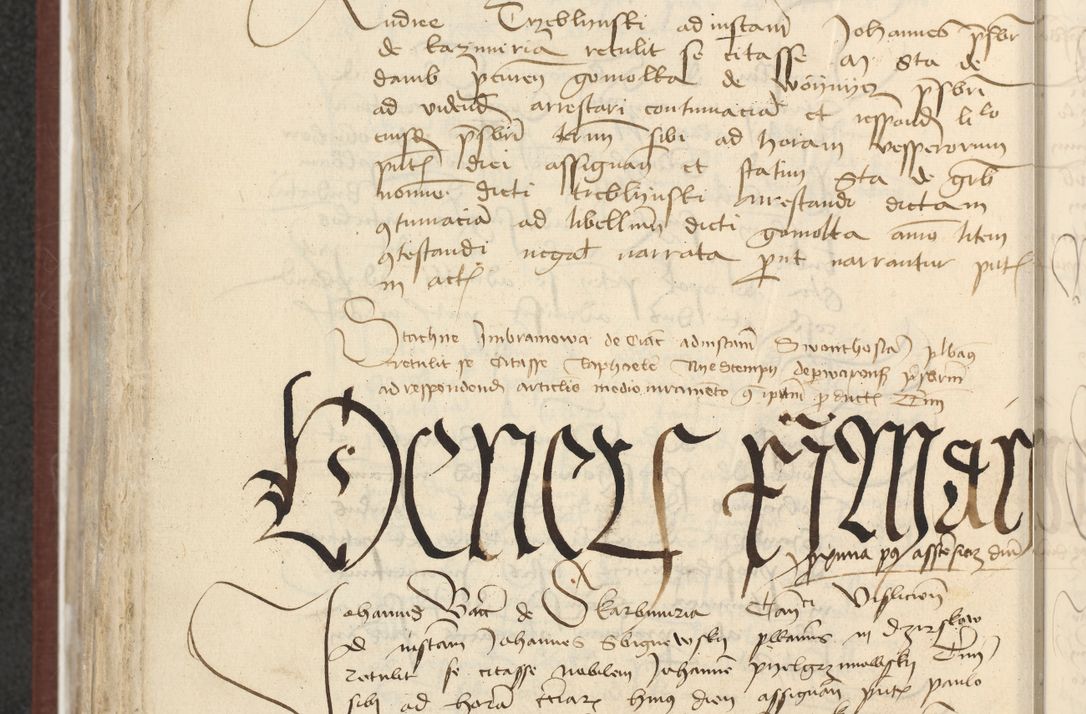 Zdjęcie nr 529 dla obiektu archiwalnego: [Acta actorum officialia coram Raphaele de Skawina]