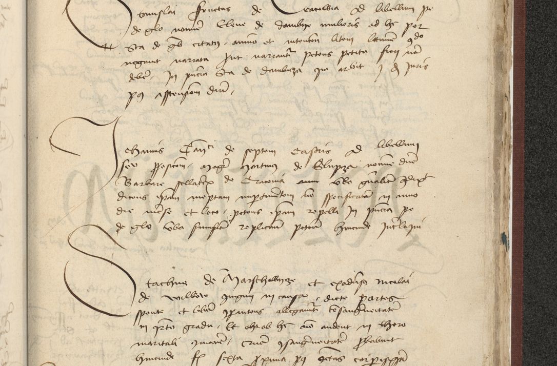 Zdjęcie nr 524 dla obiektu archiwalnego: [Acta actorum officialia coram Raphaele de Skawina]