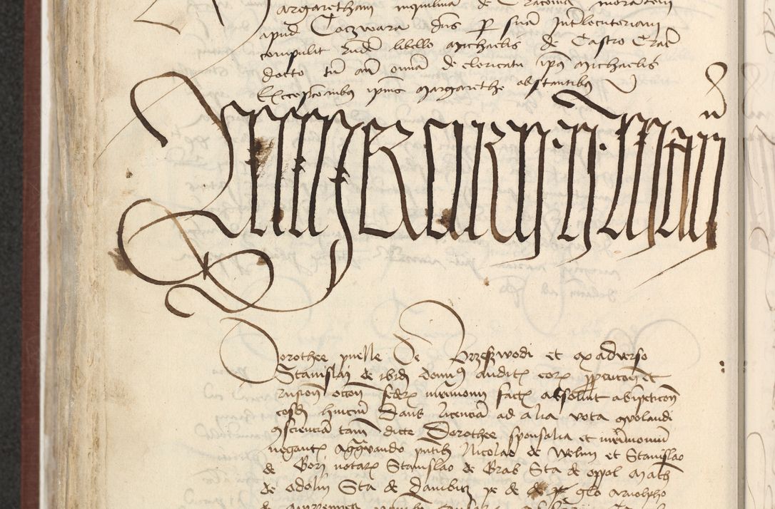 Zdjęcie nr 519 dla obiektu archiwalnego: [Acta actorum officialia coram Raphaele de Skawina]