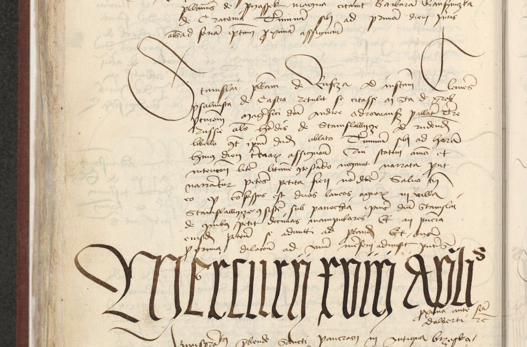 Zdjęcie nr 509 dla obiektu archiwalnego: [Acta actorum officialia coram Raphaele de Skawina]