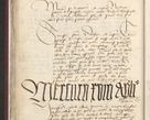 Zdjęcie nr 509 dla obiektu archiwalnego: [Acta actorum officialia coram Raphaele de Skawina]