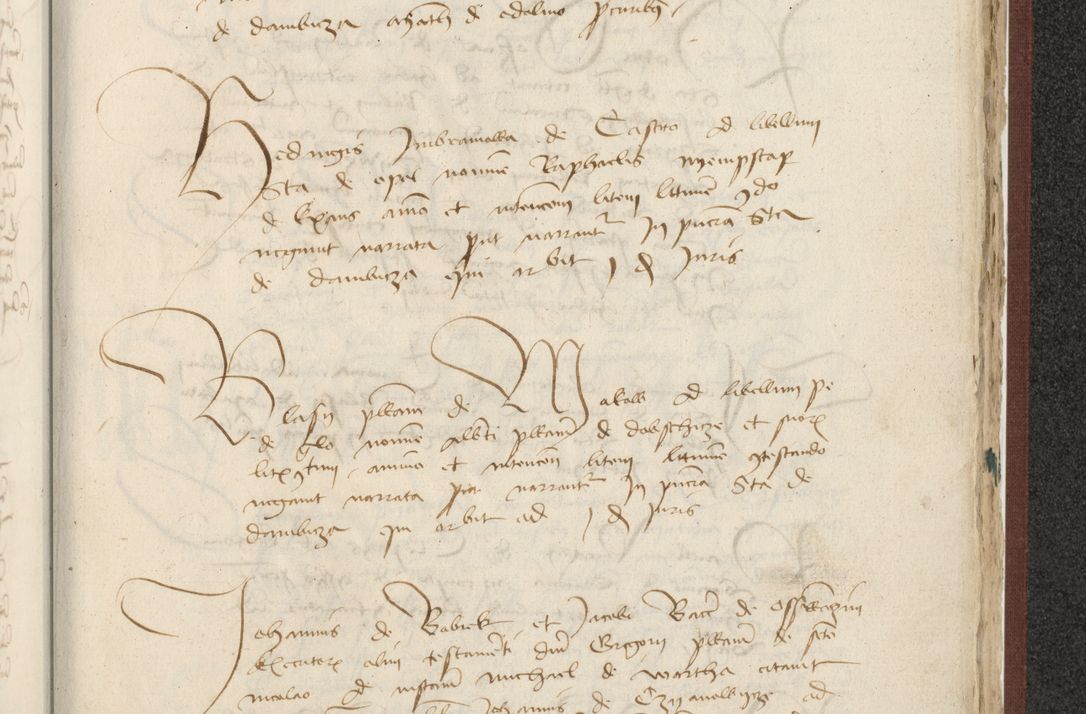 Zdjęcie nr 502 dla obiektu archiwalnego: [Acta actorum officialia coram Raphaele de Skawina]