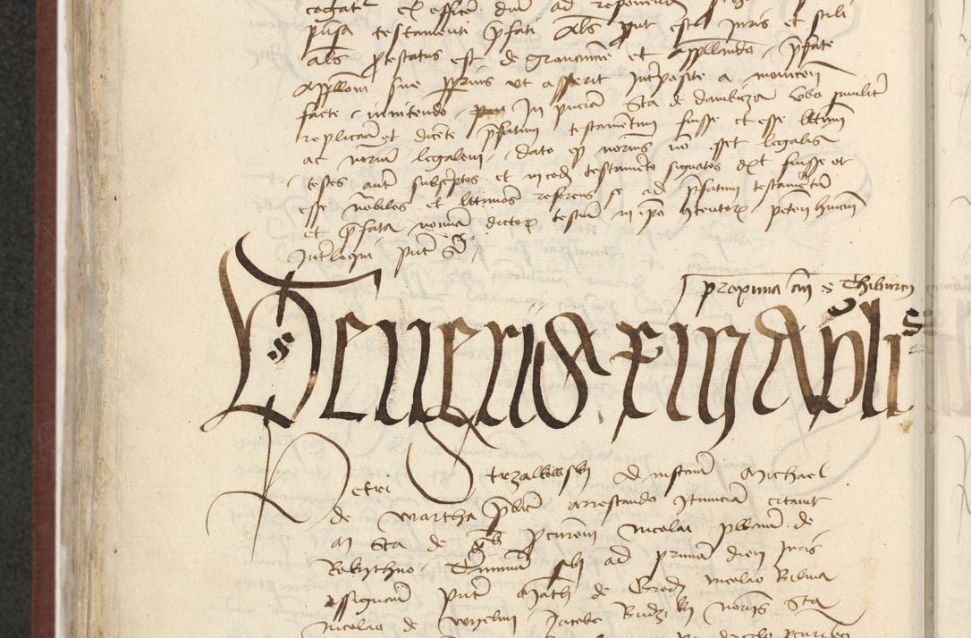 Zdjęcie nr 505 dla obiektu archiwalnego: [Acta actorum officialia coram Raphaele de Skawina]