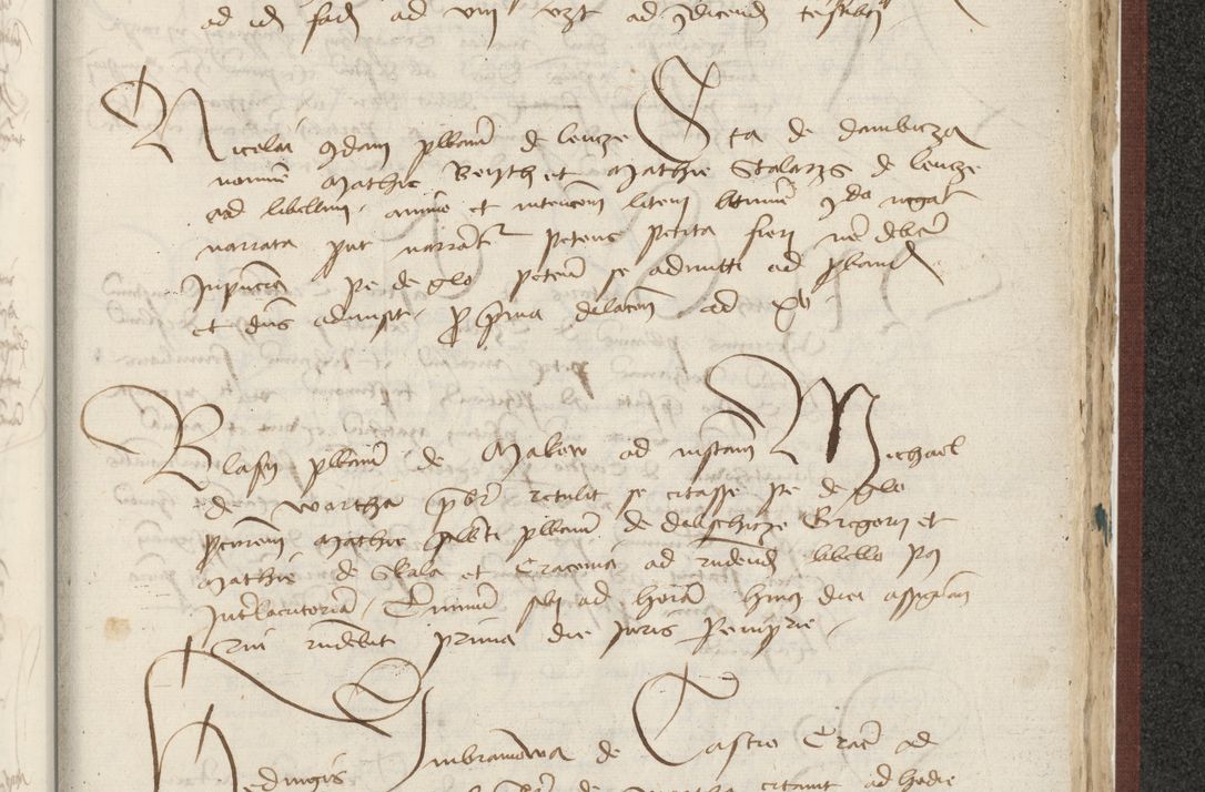 Zdjęcie nr 498 dla obiektu archiwalnego: [Acta actorum officialia coram Raphaele de Skawina]