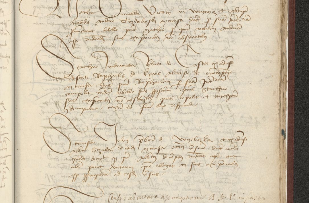 Zdjęcie nr 492 dla obiektu archiwalnego: [Acta actorum officialia coram Raphaele de Skawina]