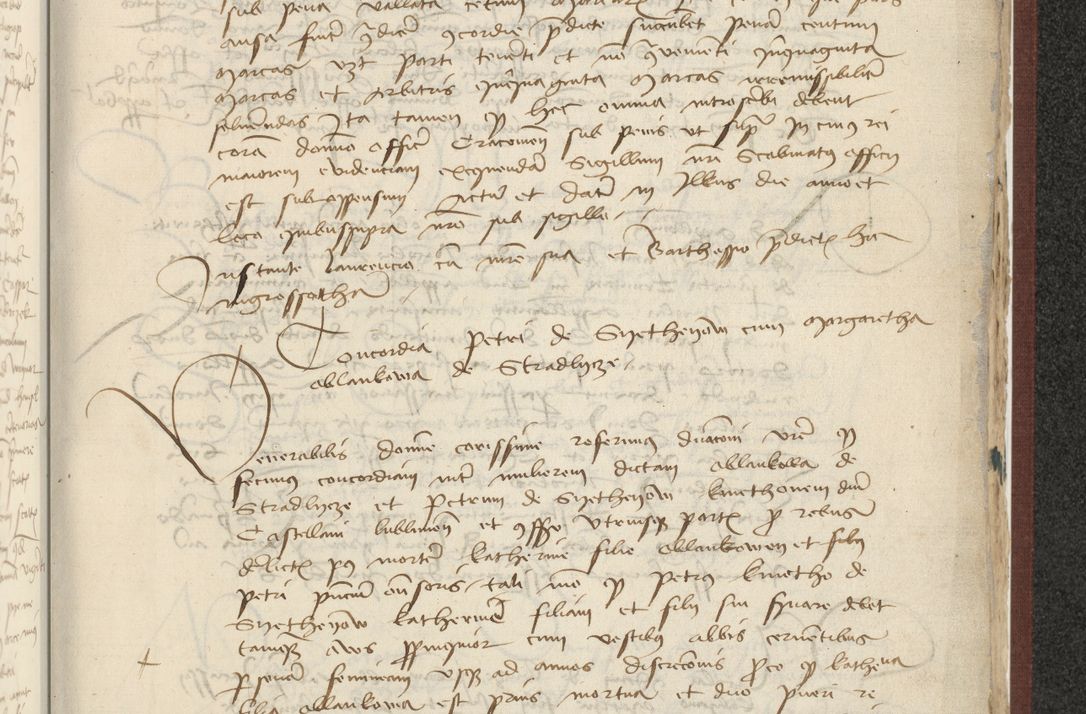 Zdjęcie nr 482 dla obiektu archiwalnego: [Acta actorum officialia coram Raphaele de Skawina]