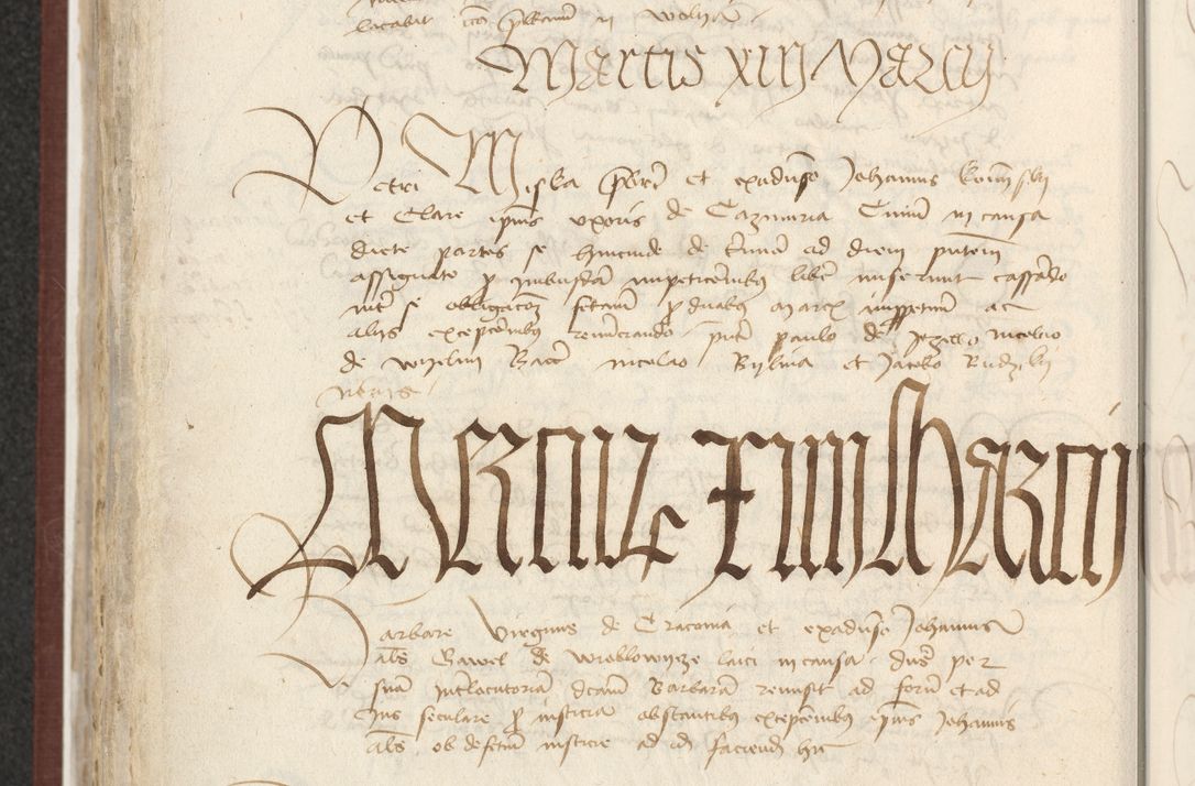 Zdjęcie nr 473 dla obiektu archiwalnego: [Acta actorum officialia coram Raphaele de Skawina]