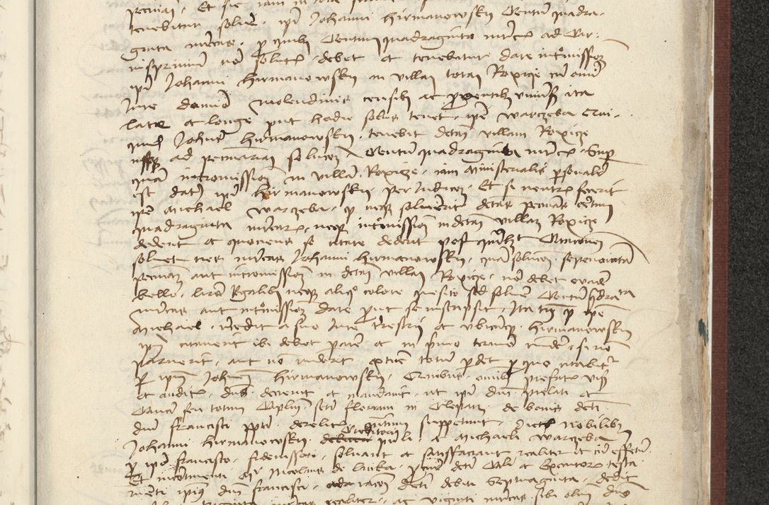 Zdjęcie nr 466 dla obiektu archiwalnego: [Acta actorum officialia coram Raphaele de Skawina]