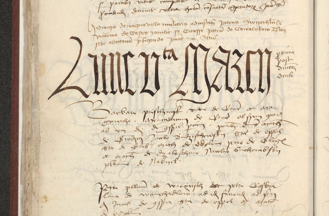 Zdjęcie nr 463 dla obiektu archiwalnego: [Acta actorum officialia coram Raphaele de Skawina]