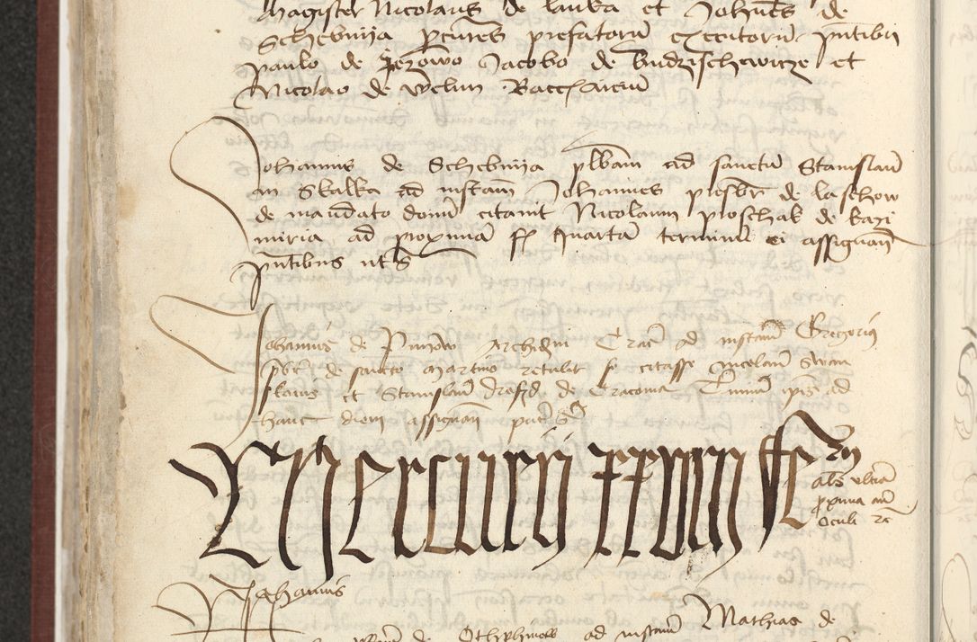 Zdjęcie nr 459 dla obiektu archiwalnego: [Acta actorum officialia coram Raphaele de Skawina]