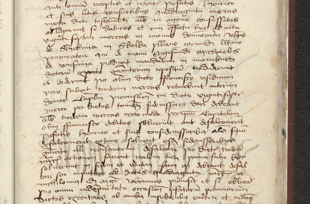 Zdjęcie nr 458 dla obiektu archiwalnego: [Acta actorum officialia coram Raphaele de Skawina]