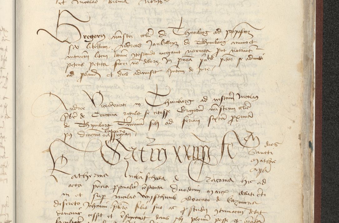 Zdjęcie nr 456 dla obiektu archiwalnego: [Acta actorum officialia coram Raphaele de Skawina]