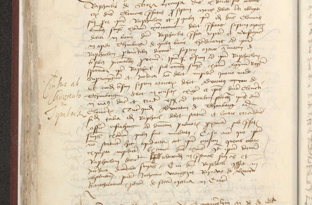 Zdjęcie nr 457 dla obiektu archiwalnego: [Acta actorum officialia coram Raphaele de Skawina]