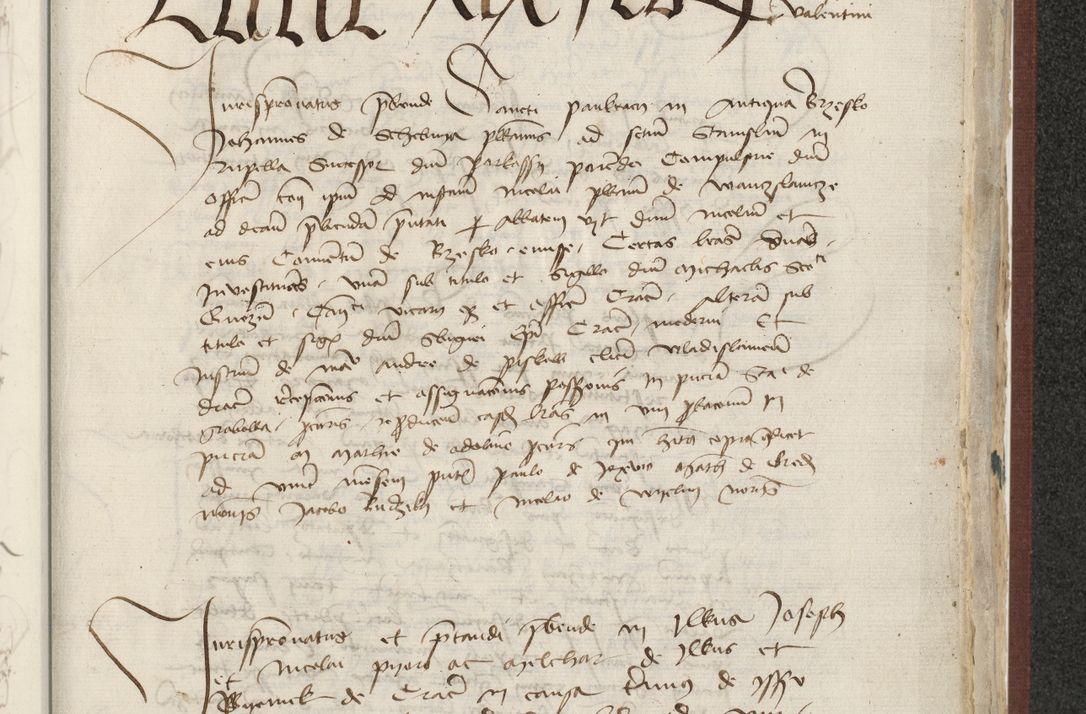 Zdjęcie nr 450 dla obiektu archiwalnego: [Acta actorum officialia coram Raphaele de Skawina]