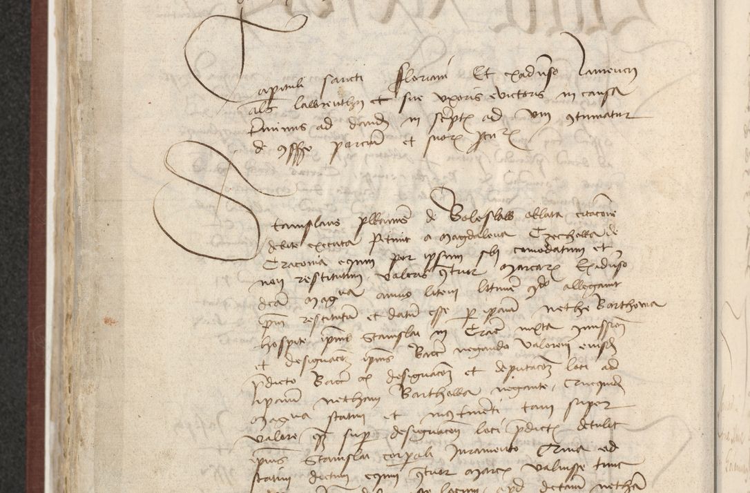 Zdjęcie nr 451 dla obiektu archiwalnego: [Acta actorum officialia coram Raphaele de Skawina]