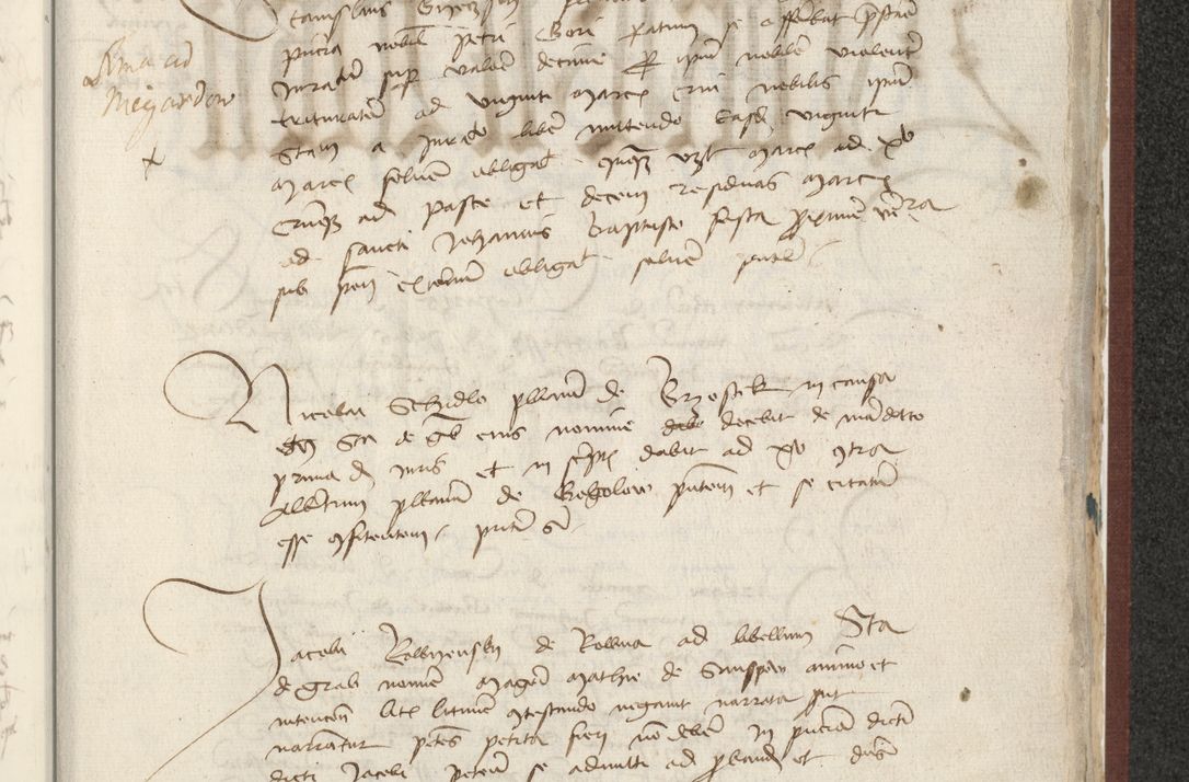 Zdjęcie nr 446 dla obiektu archiwalnego: [Acta actorum officialia coram Raphaele de Skawina]