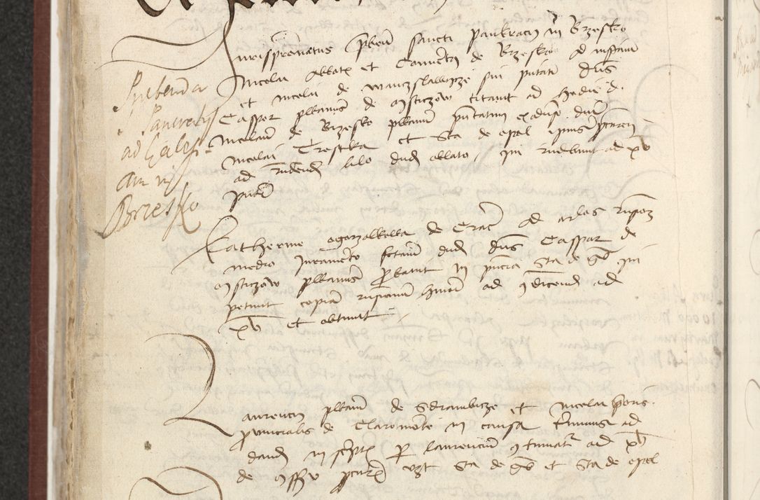 Zdjęcie nr 445 dla obiektu archiwalnego: [Acta actorum officialia coram Raphaele de Skawina]